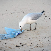 building-a-sustainable-future-architectural-solutions-for-plastic-pollution