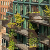 mercado-in-groningen-de-zwarte-hond-loer-architecten