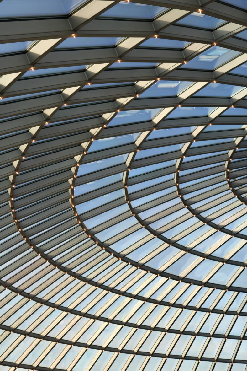 Glass Roch Ceiling An In-Depth Exploration of Limitations For Glass Ceilings and Embracing ...