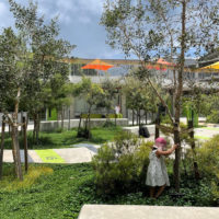 ultimo-public-school-designinc-lacoste-stevenson-bmc2-architects