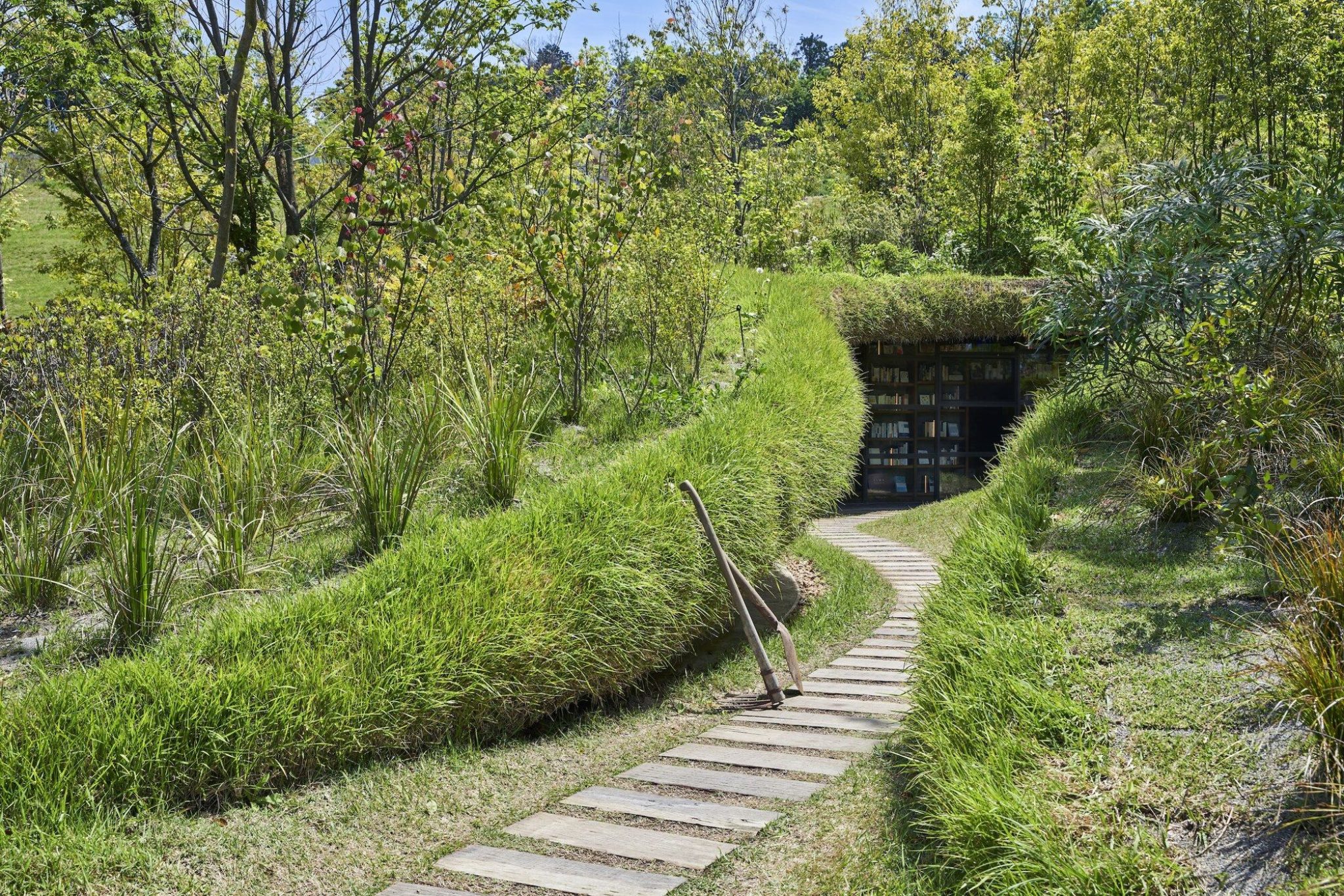 Library With Napping Area Library in the Earth | Hiroshi Nakamura & NAP - Arch2O.com