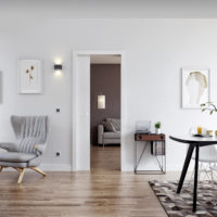 Pocket Door