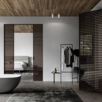 Pocket Door