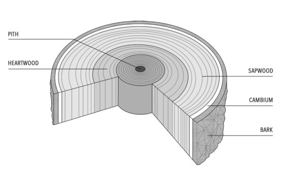 How to Make Wood Construction More Efficient Using Modern Methods ...