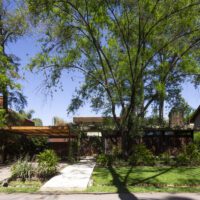 House Between Trees