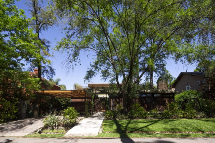 House Between Trees
