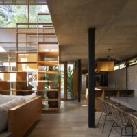 House Between Trees