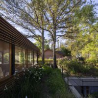 House Between Trees