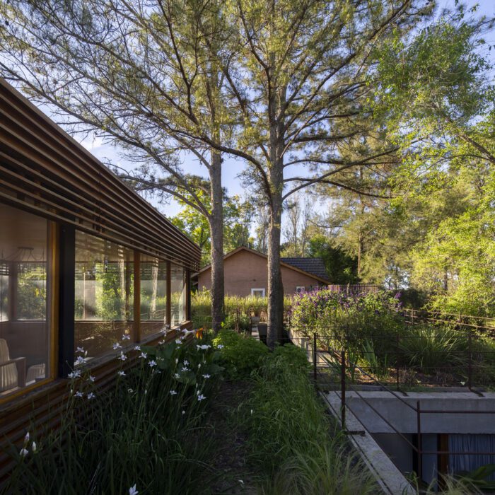 House Between Trees