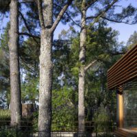 House Between Trees