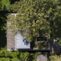House Between Trees