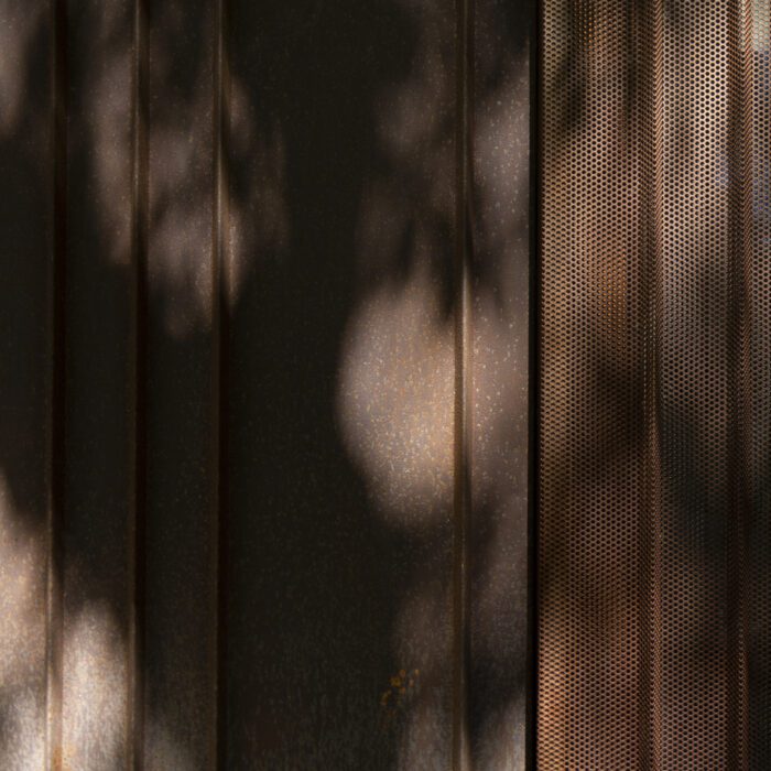 House Between Trees