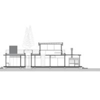 House Between Trees