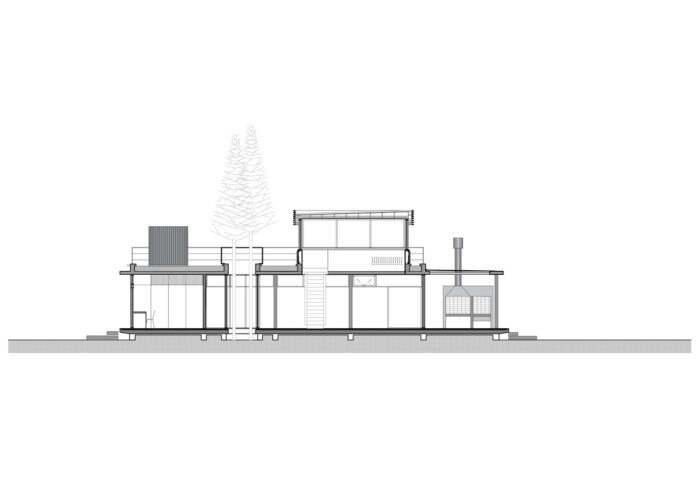 House Between Trees