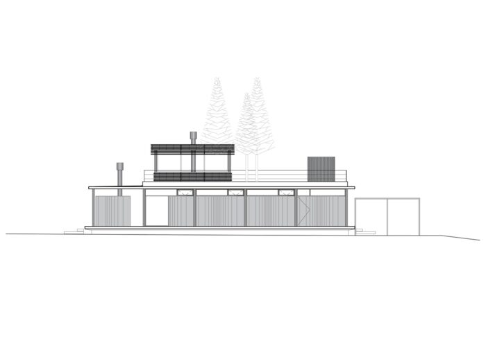 House Between Trees
