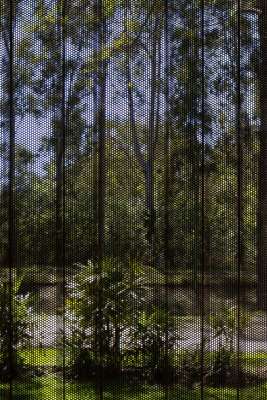 House Between Trees