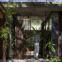 House Between Trees