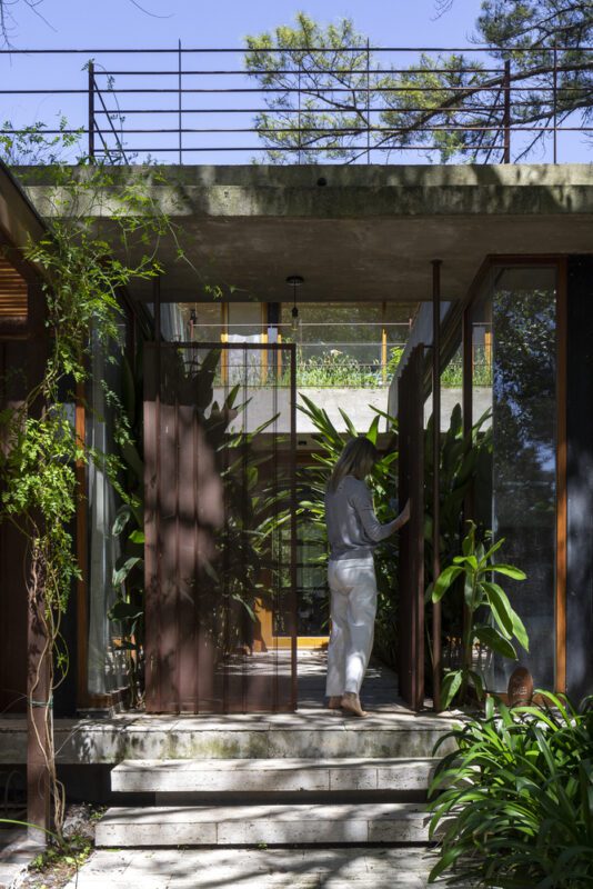 House Between Trees