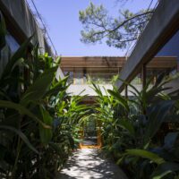 House Between Trees