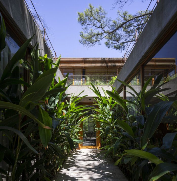 House Between Trees