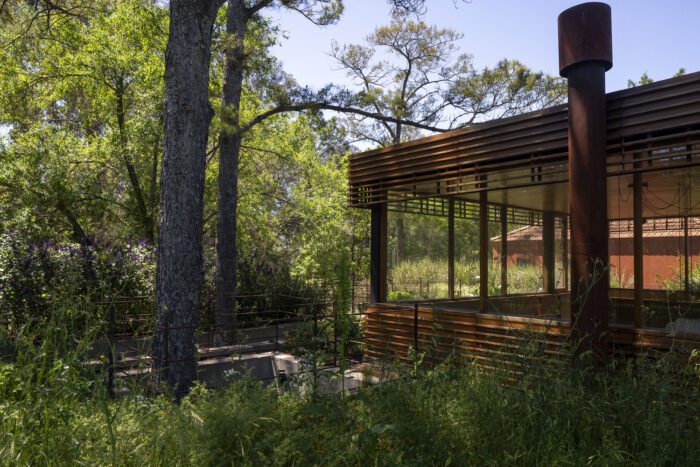 House Between Trees