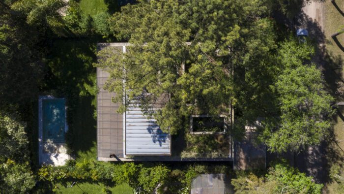 House Between Trees