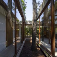 House Between Trees