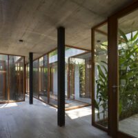 House Between Trees