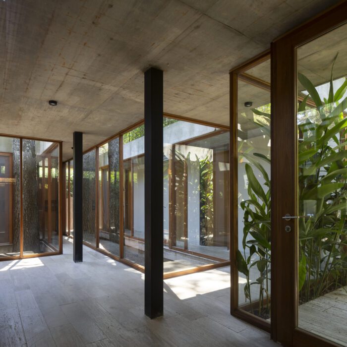 House Between Trees