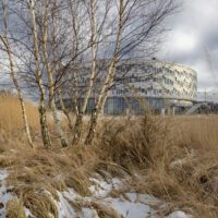 Kalvebod Fælled School
