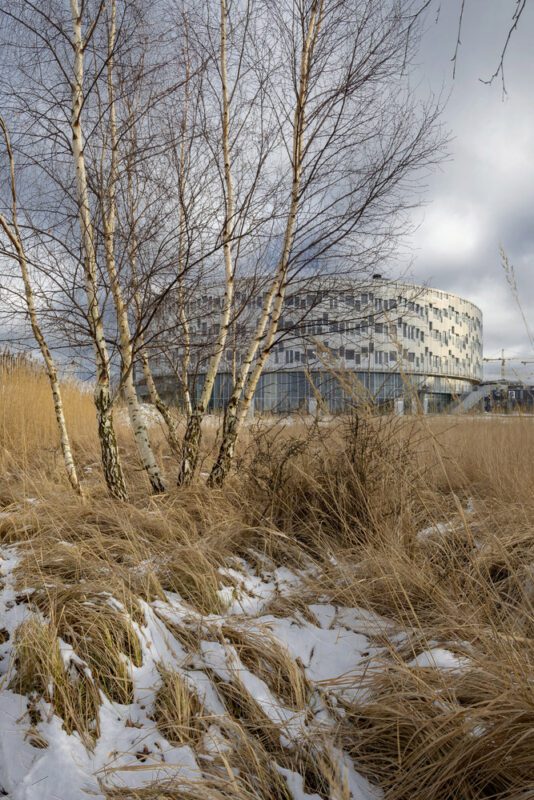 Kalvebod Fælled School