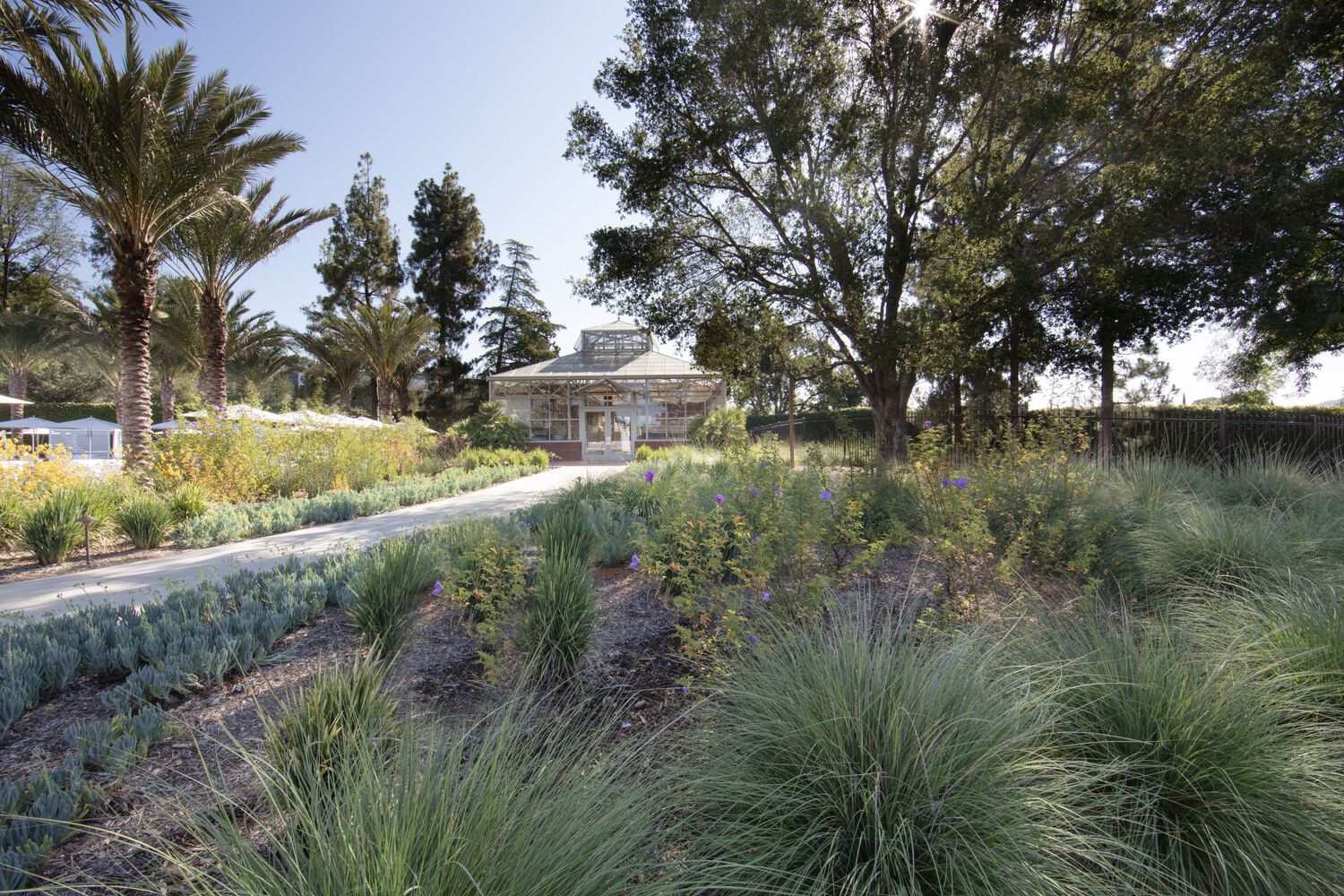 The Cove Four Seasons Outdoor Space