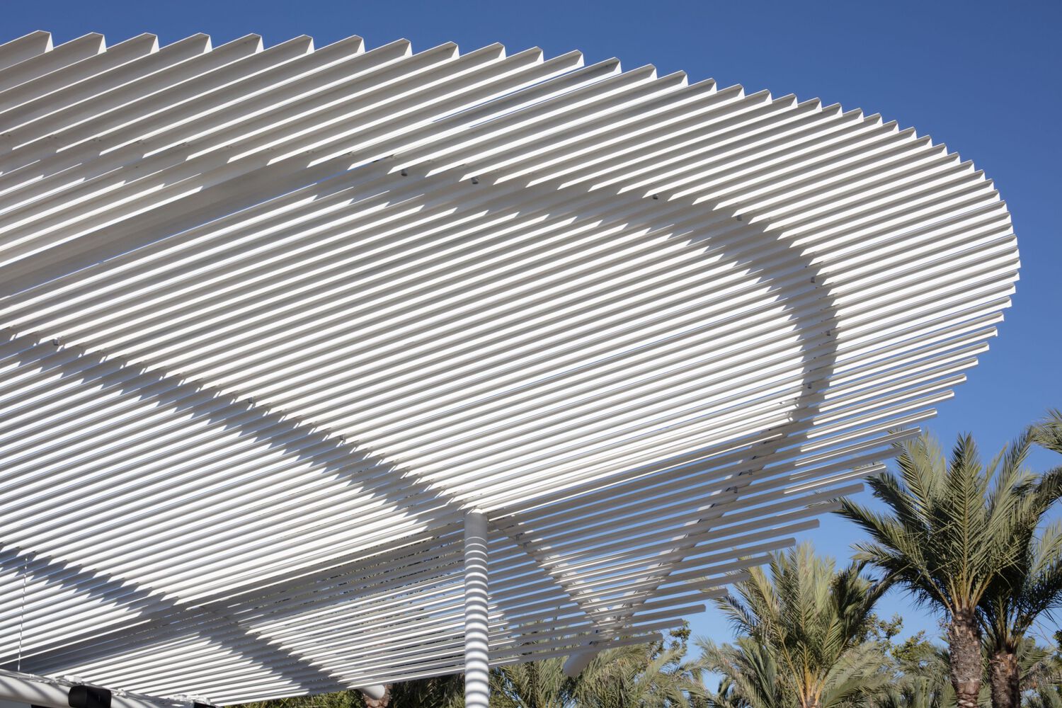 The Cove Four Seasons Outdoor Space