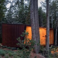 Better Place Forests