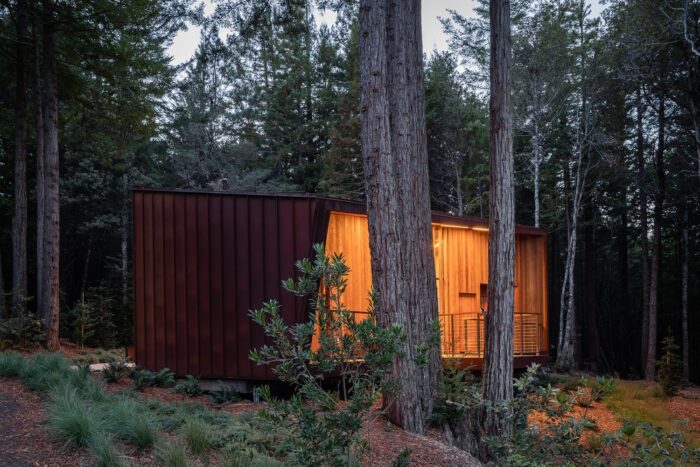 Better Place Forests