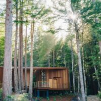 Better Place Forests