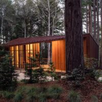 Better Place Forests
