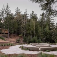 Better Place Forests