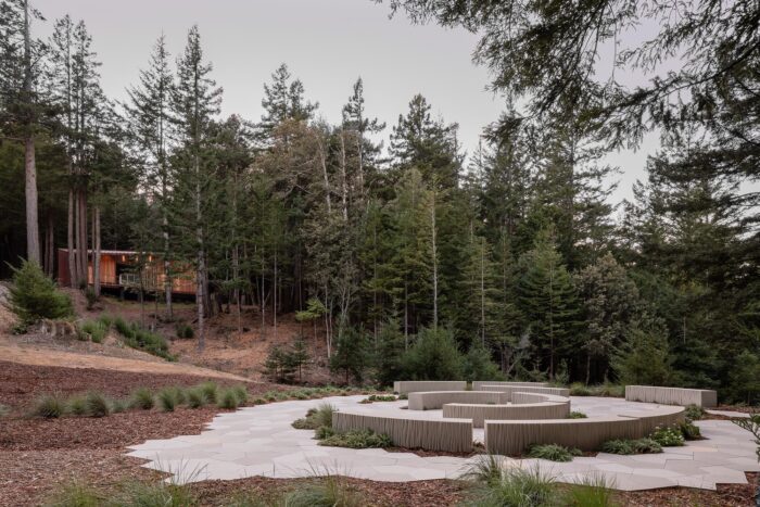 Better Place Forests