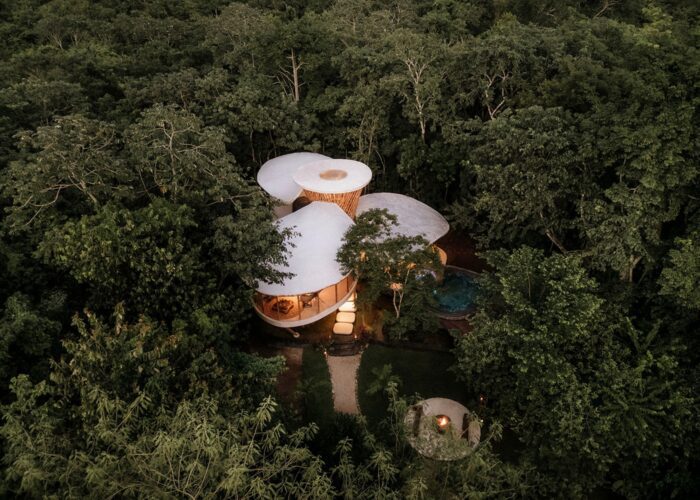 The Trillium Awakening | NOD Studio