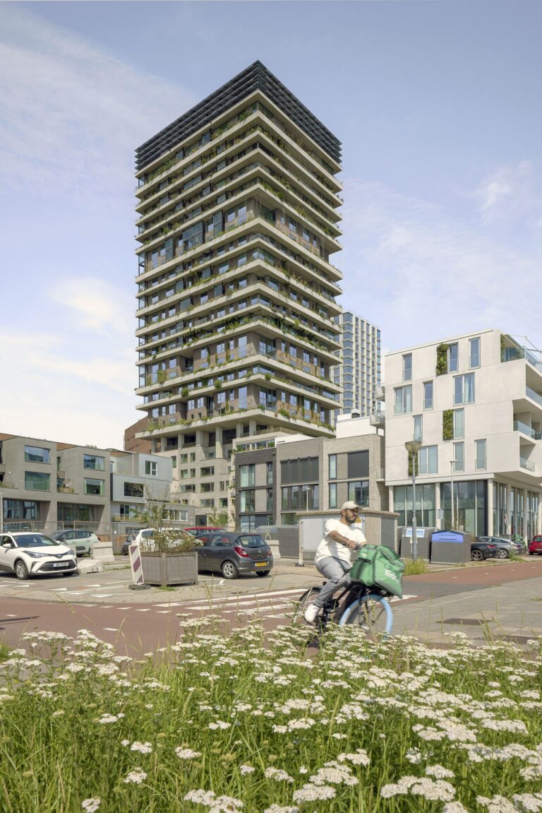 VERTICAL Building