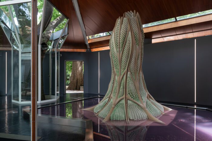 Canada Explores Regenerative Futures with 'Picoplanktonics' at the 2025 Venice Architecture Biennale