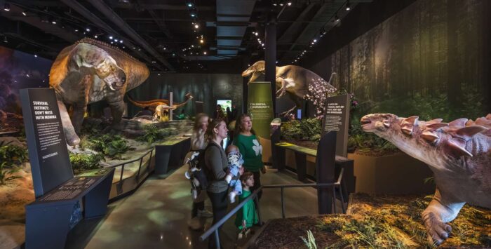 Ric Edelman Fossil Park