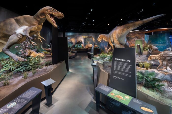 Ric Edelman Fossil Park