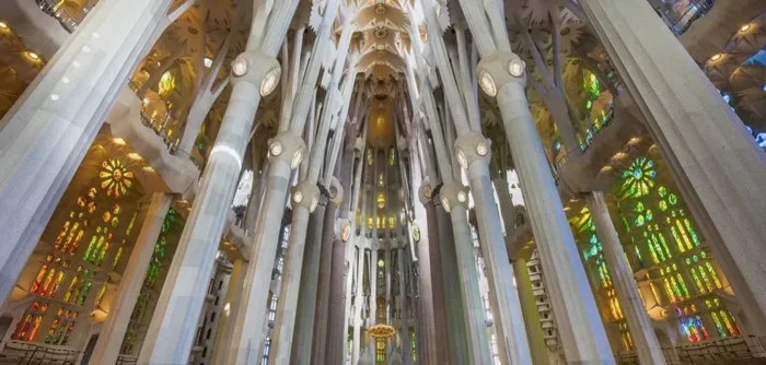 62c0e764 08d2 4af0 bcfb b5f3f4f17e51 1024x488 62c0e764 08d2 4af0 bcfb b5f3f4f17e51 1024x488