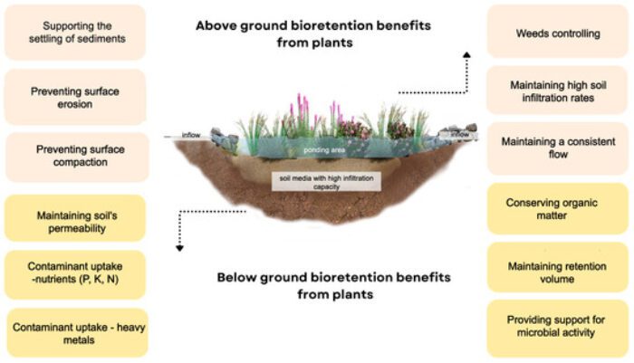 sustainability 16 03273 g001 550