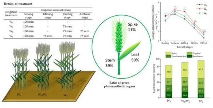 plants 12 03482 ag 550