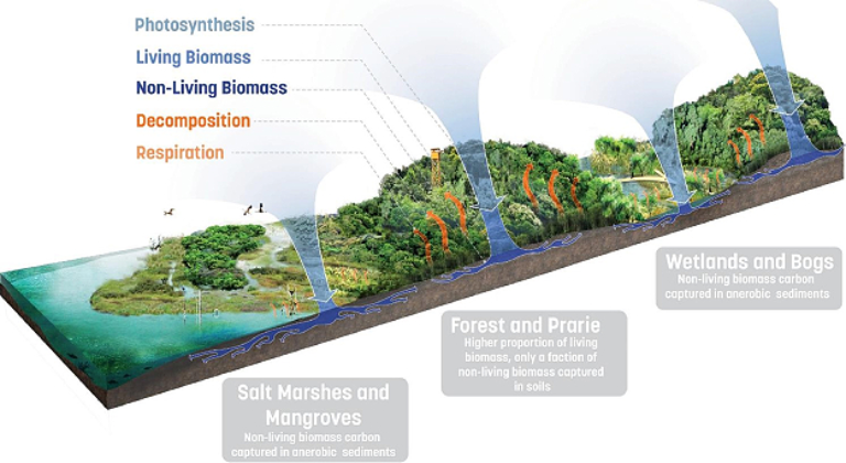 The Complete Guide to Sustainable Landscape Architecture: From Climate Action to Performance Metrics