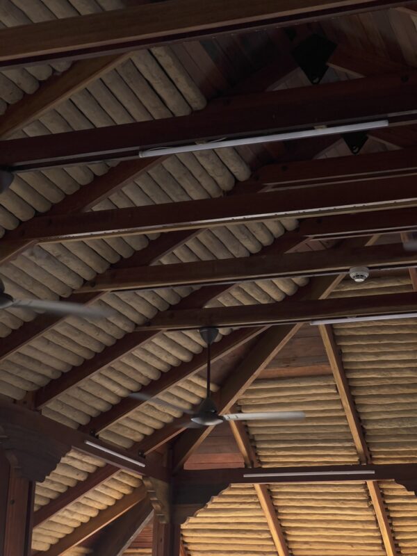 factory canteen agrocel dhordo studio dot 12