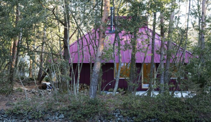 House in the Forest